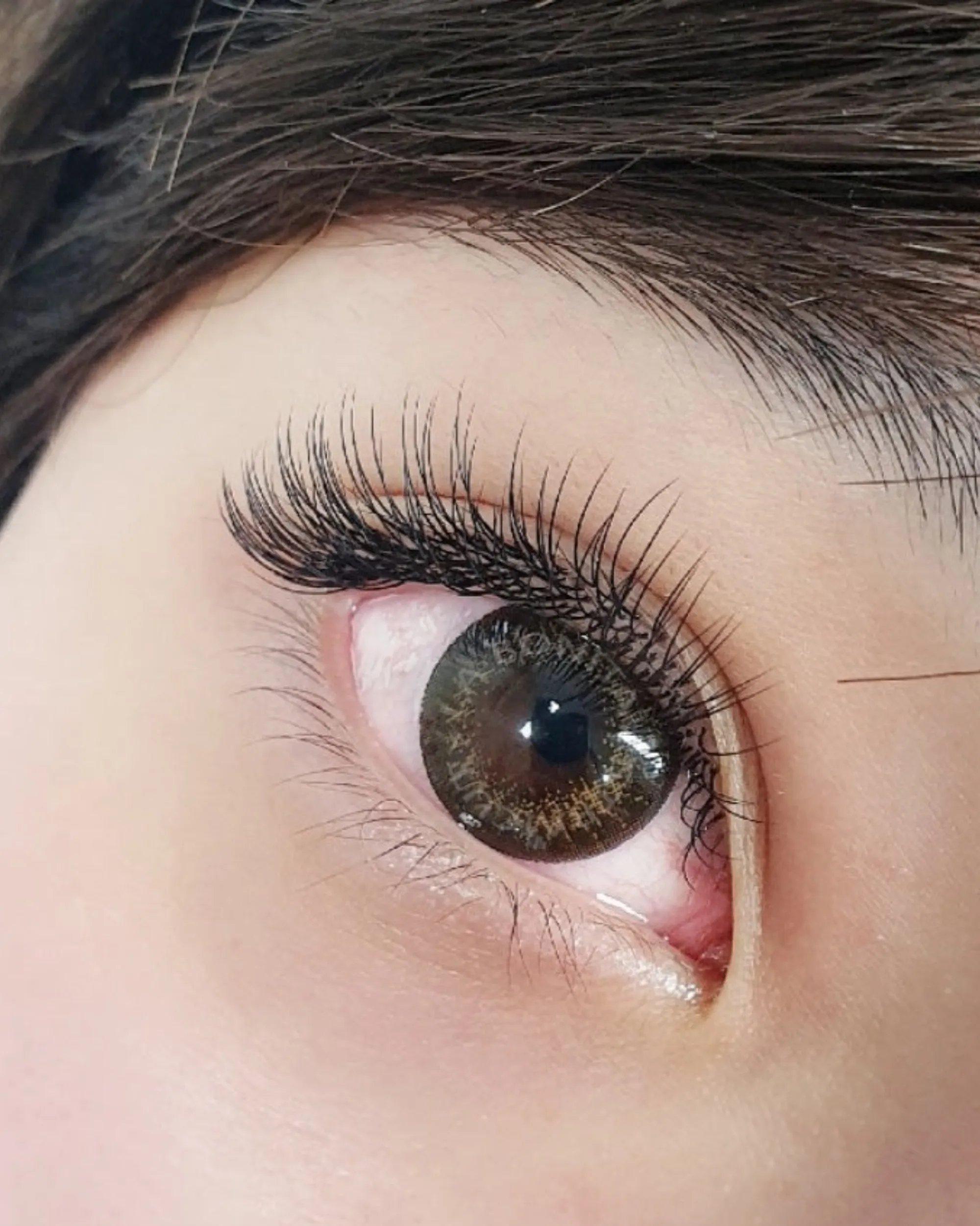 L-Curl Flat Lashes (Multi-Length Trays)