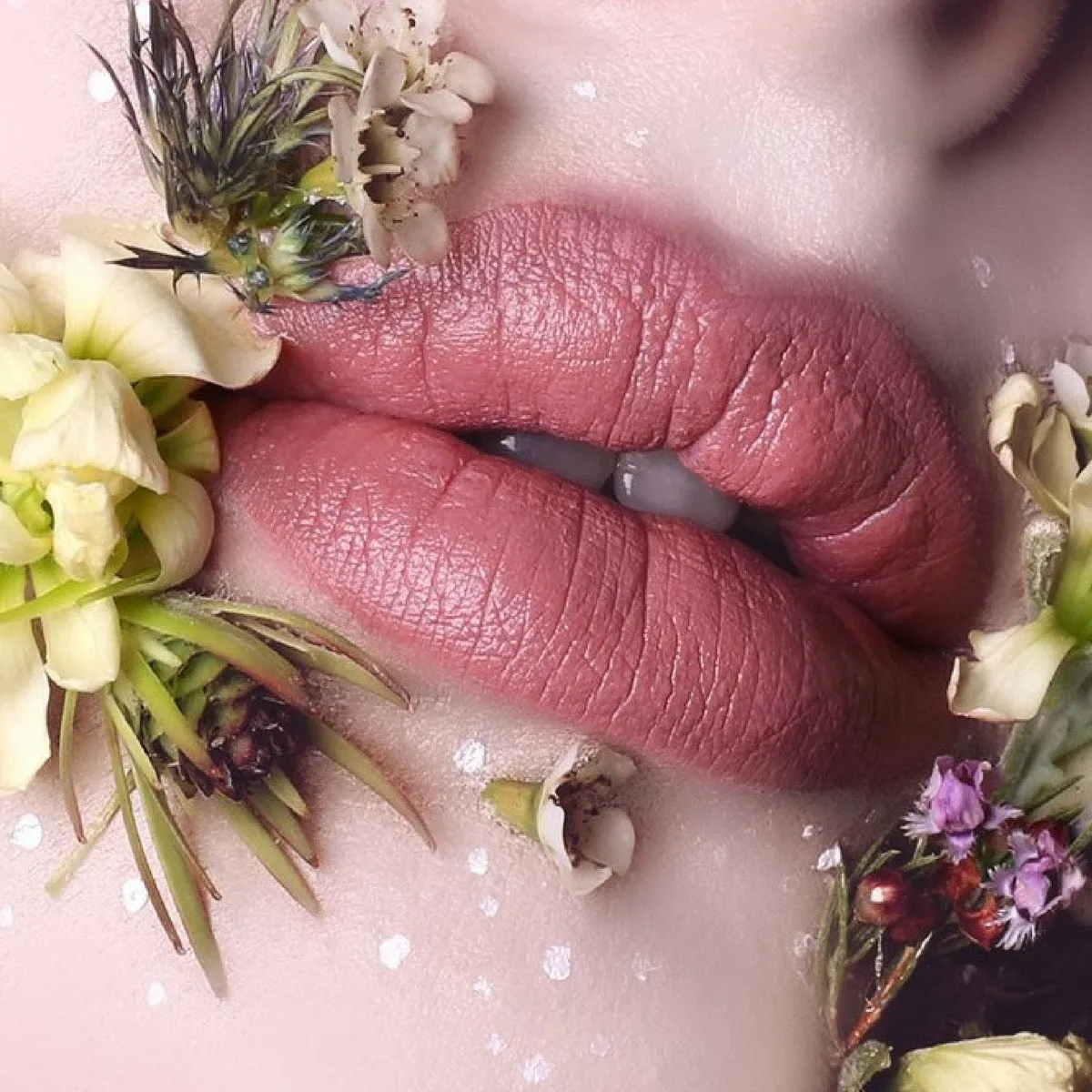 Suzy Miss Jacqui Pink Lace Lipstick (Satin Luxe)